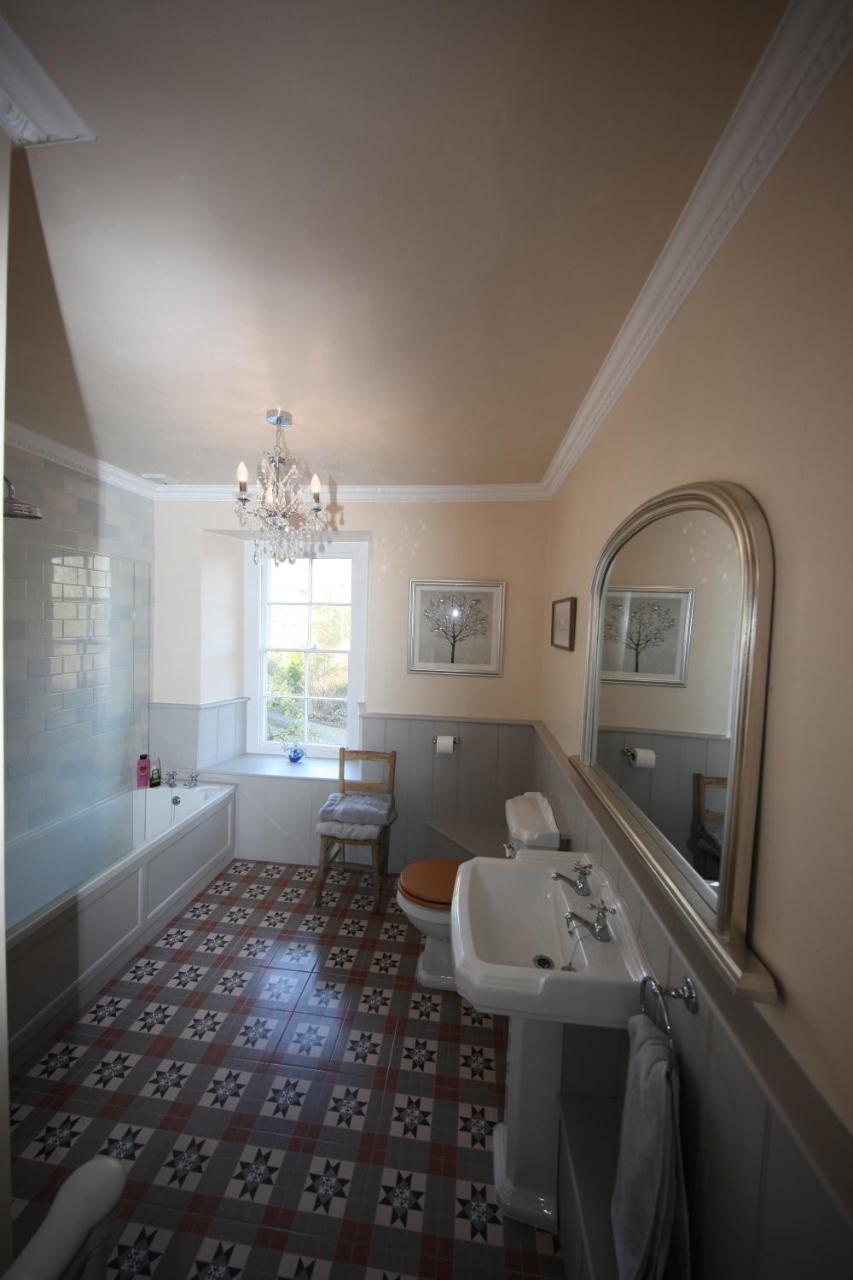 Plas Esgair Llanbrynmair Стая снимка